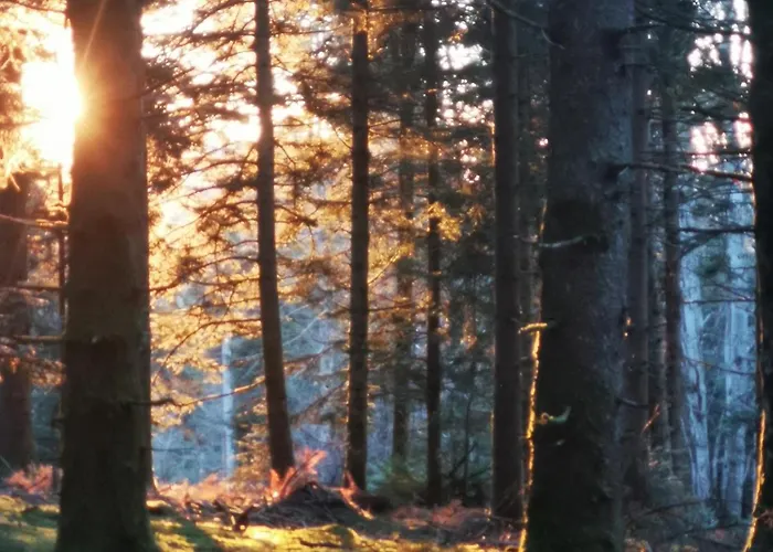 Maisonnette Cocooning, Ancien Four à Pain *